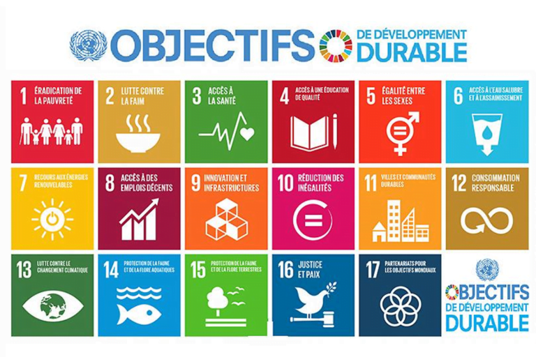 Les dix-sept objectifs de développement durable (ODD)